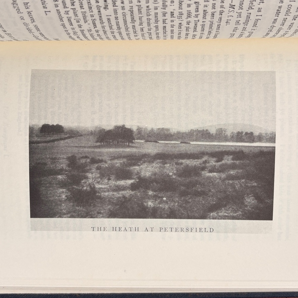 1971 Early British Botanists and Their Gardens Goodyer Tradescant Gardencore - Picture 5 of 12